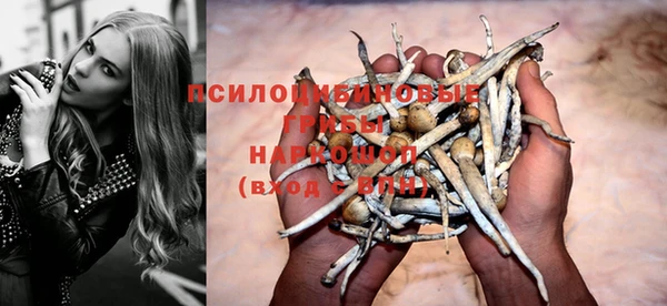 меф Переславль-Залесский