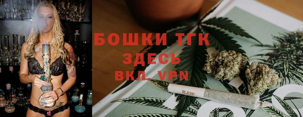 крисы Пестово
