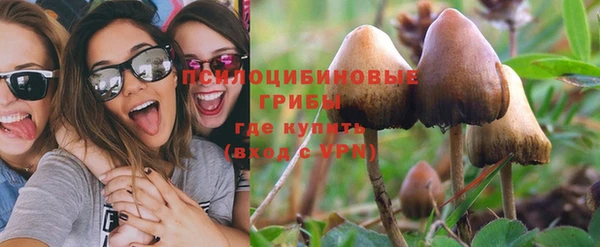соль ск Абдулино