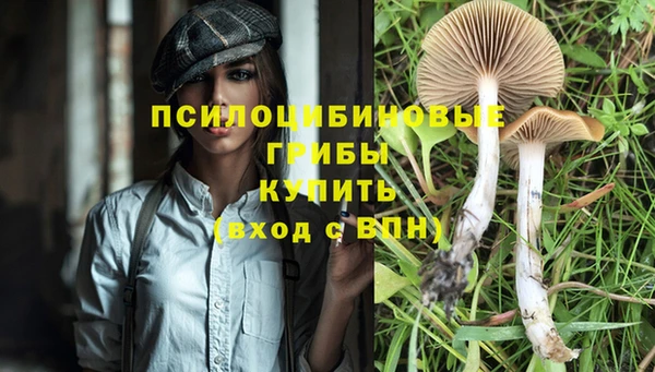 крисы Пестово